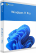 Microsoft Windows 11 Pro ENG Intl USB FPP (HAV-00163