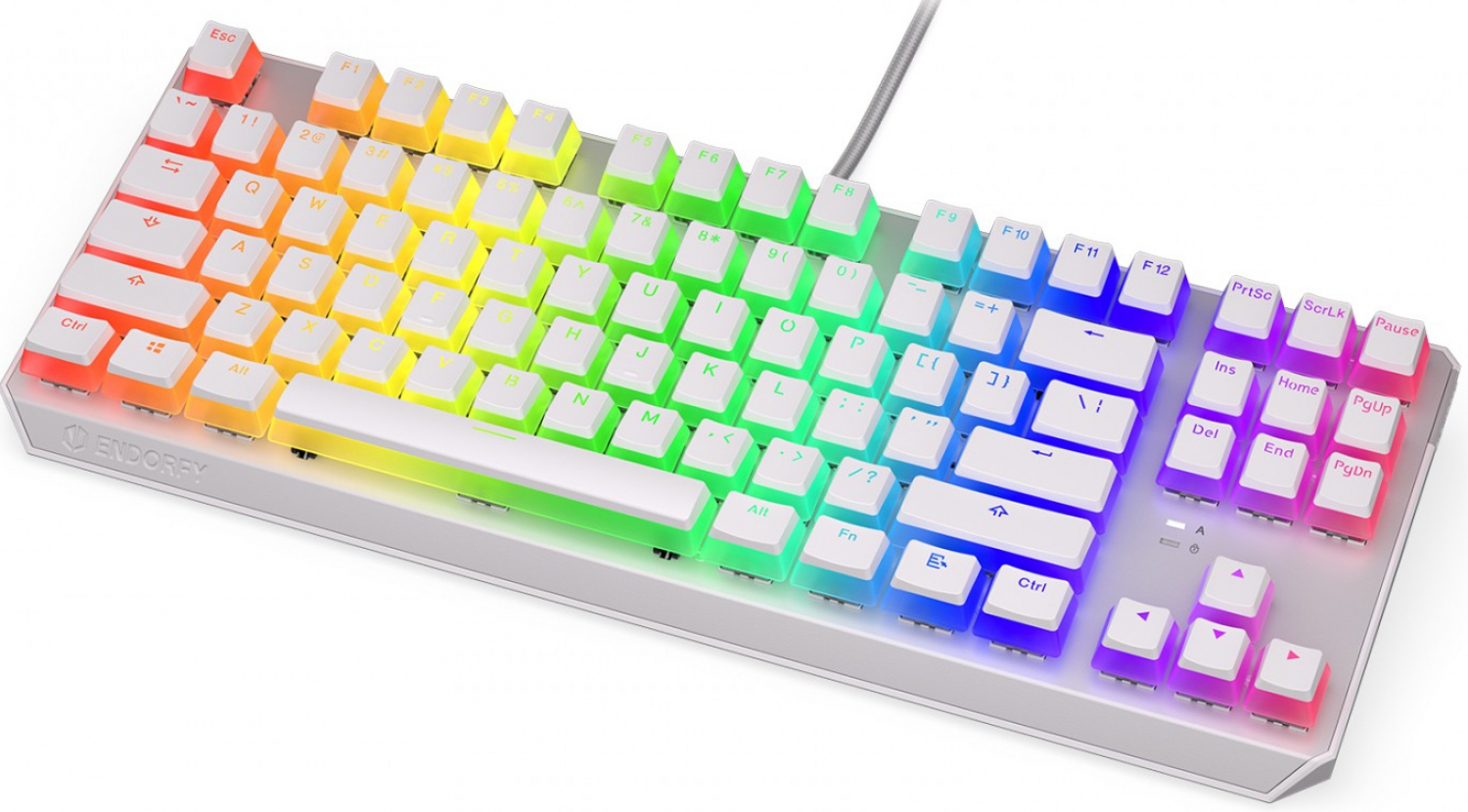 Keyboard Endorfy Thock TKL Pudding Kailh Blue (EY5A007)