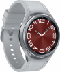 Smartwatch Samsung Galaxy Watch 6 Classic Small LTE SM-R955F Silver (SM-R955FZSAEUE