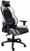 Компьютерное кресло Trust GXT 714W  RUYA White (25065