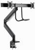 Monitor mount Gembird Desk Mounted Adjustable Monitor Arm for 2 Monitors (MA-DA2-04
