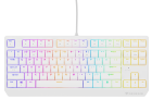 Klaviatūra Genesis Thor 230 TKL RGB Outemu Red (NKG-2078