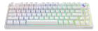 Klaviatūra Savio Wireless Mechanical Phenix White 75% Outemu Yellow Pro (5901986049302