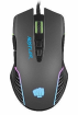 Fury Hustler Black (NFU-1698