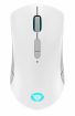 Lenovo Legion M600 Stingray White (GY51C96033