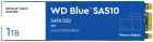 Western Digital Blue SA510 1TB M.2 (WDS100T3B0B
